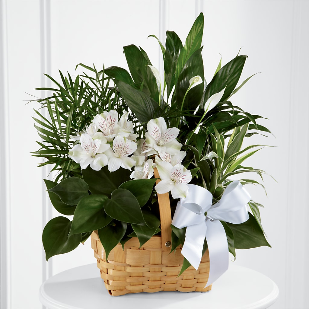 Peace & Serenity Dishgarden – ANDREW'S FLOWERS, Beaverton OR