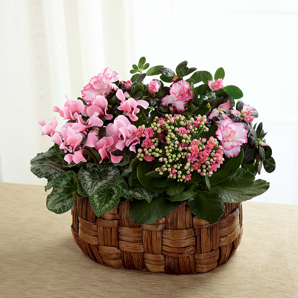 Pink Assortment – ANDREW'S FLOWERS, Beaverton OR