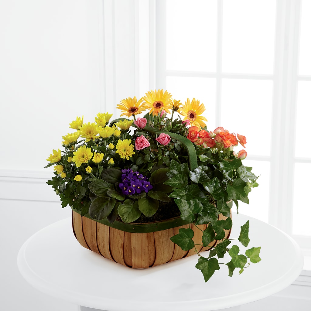 Gentle Blossoms Basket – ANDREW'S FLOWERS, Beaverton OR