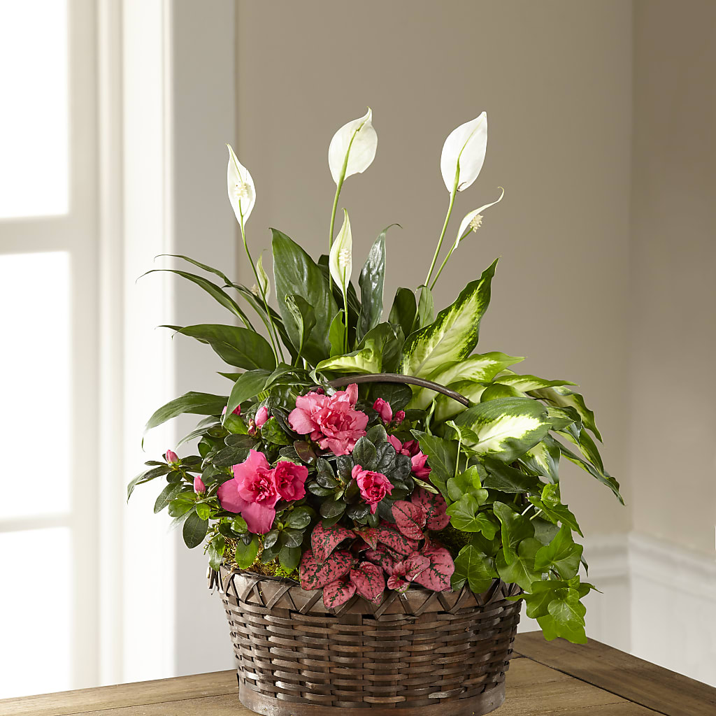 Dream in Pink Dishgarden – ANDREW'S FLOWERS, Beaverton OR