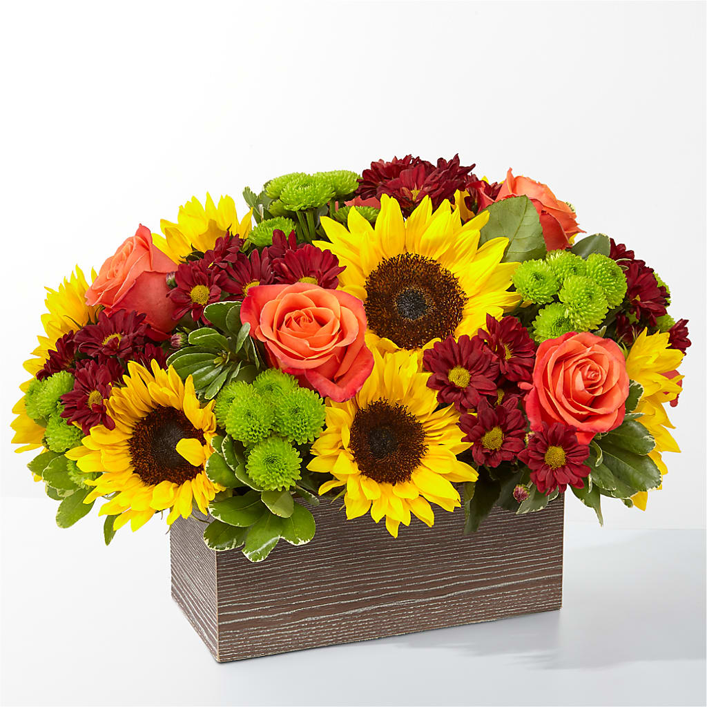 Happy Harvest Garden – ANDREW'S FLOWERS, Beaverton OR