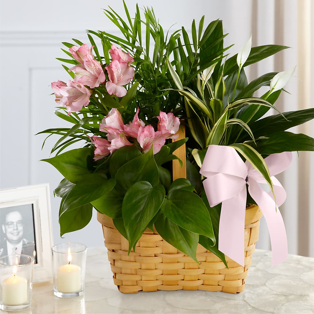 Living Spirit Dishgarden – ANDREW'S FLOWERS, Beaverton OR
