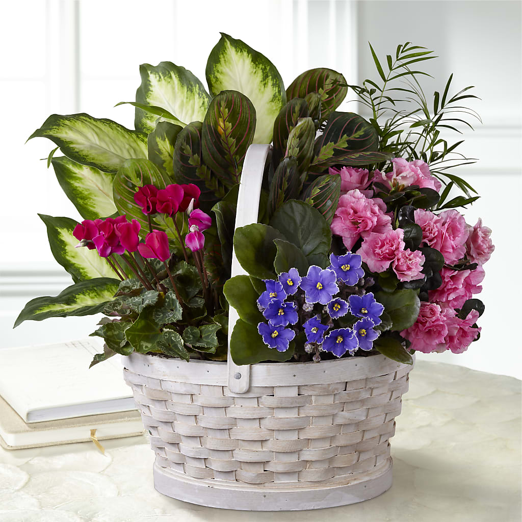 Peaceful Garden Planter – ANDREW'S FLOWERS, Beaverton OR