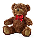 Adorable Plush Bear – ANDREW'S FLOWERS, Beaverton OR