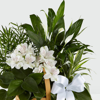 Peace & Serenity Dishgarden – ANDREW'S FLOWERS, Beaverton OR