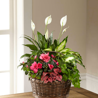 Dream in Pink Dishgarden – ANDREW'S FLOWERS, Beaverton OR