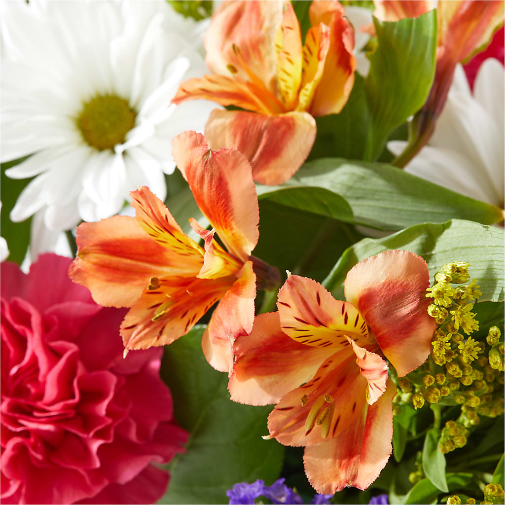 Oopsie Daisy Box Bouquet – ANDREW'S FLOWERS, Beaverton OR
