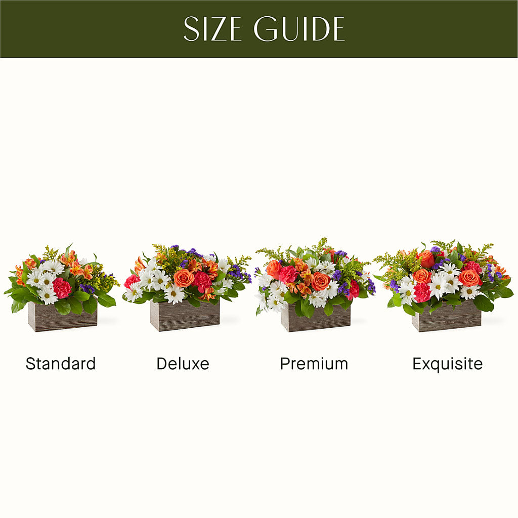 Oopsie Daisy Box Bouquet – ANDREW'S FLOWERS, Beaverton OR