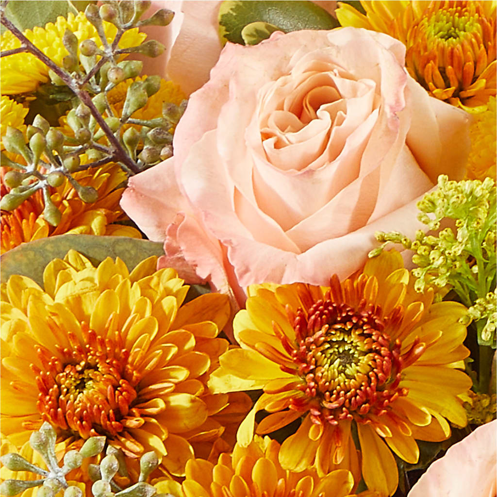 Peachy Pumpkin – ANDREW'S FLOWERS, Beaverton OR