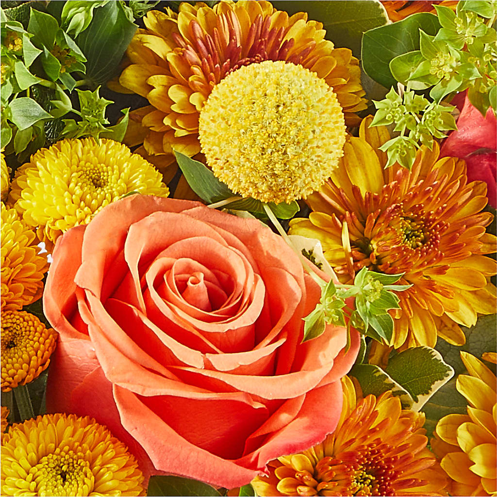 Gourdgeous Pumpkin – ANDREW'S FLOWERS, Beaverton OR