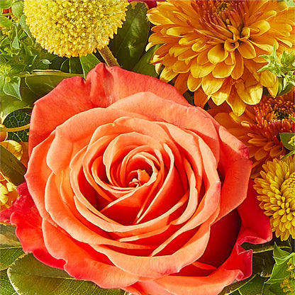 Gourdgeous Pumpkin – ANDREW'S FLOWERS, Beaverton OR