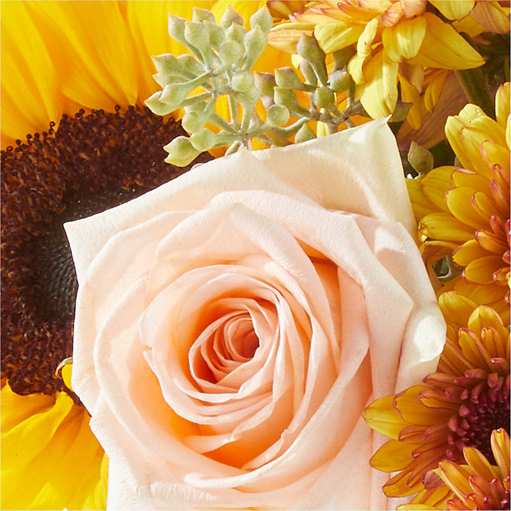 Pumpkin to Talk About Bouquet – ANDREW'S FLOWERS, Beaverton OR