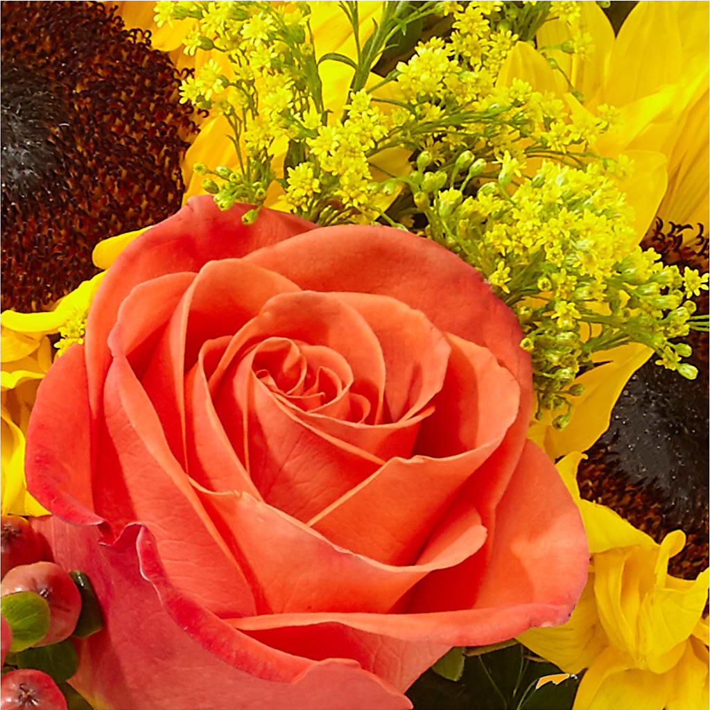 Pick of the Patch Pumpkin Bouquet – ANDREW'S FLOWERS, Beaverton OR