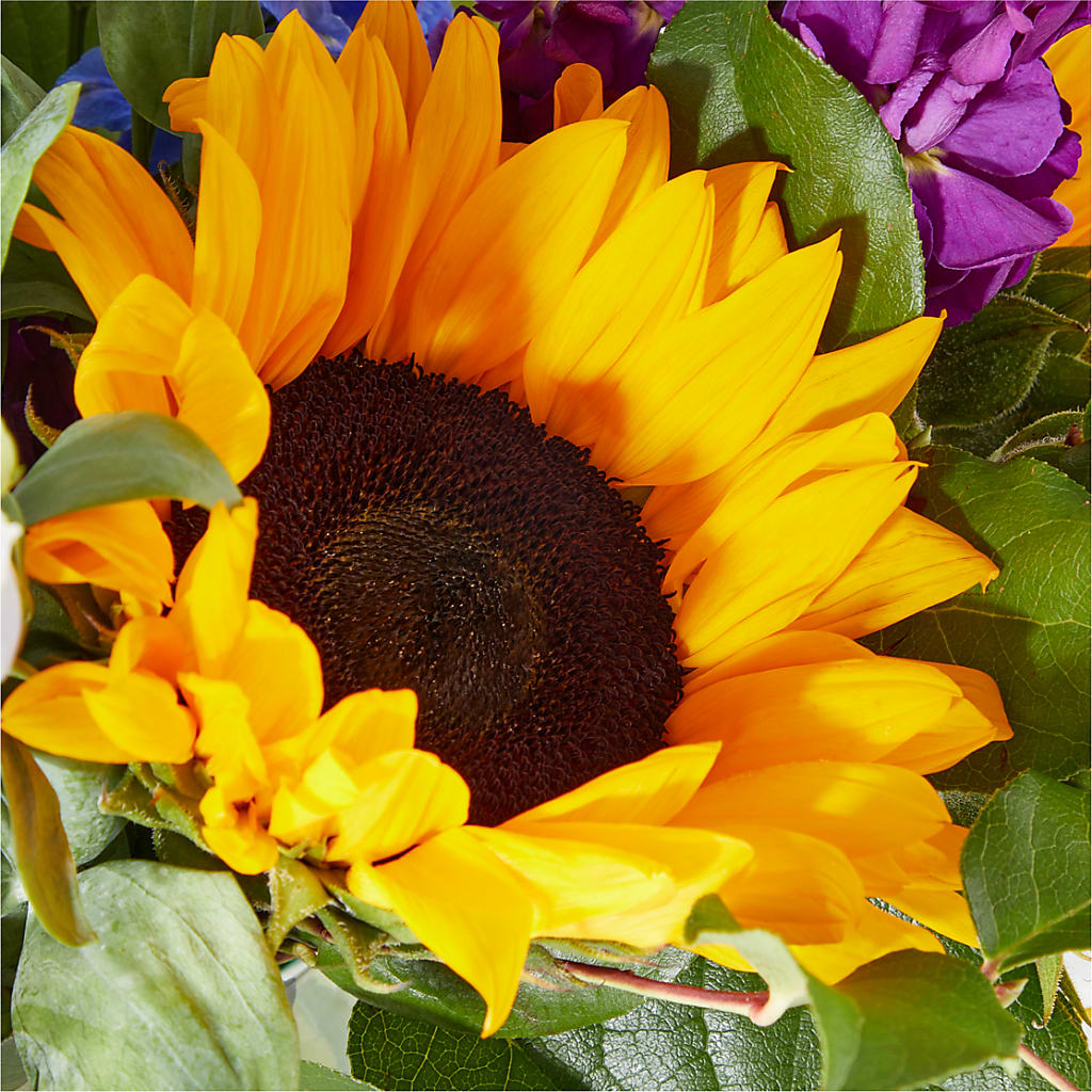 Catching Rays Bouquet – ANDREW'S FLOWERS, Beaverton OR