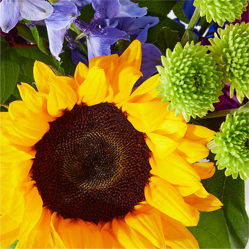 Catching Rays Bouquet – ANDREW'S FLOWERS, Beaverton OR