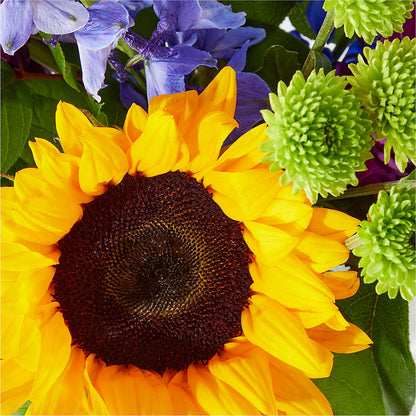 Catching Rays Bouquet – ANDREW'S FLOWERS, Beaverton OR