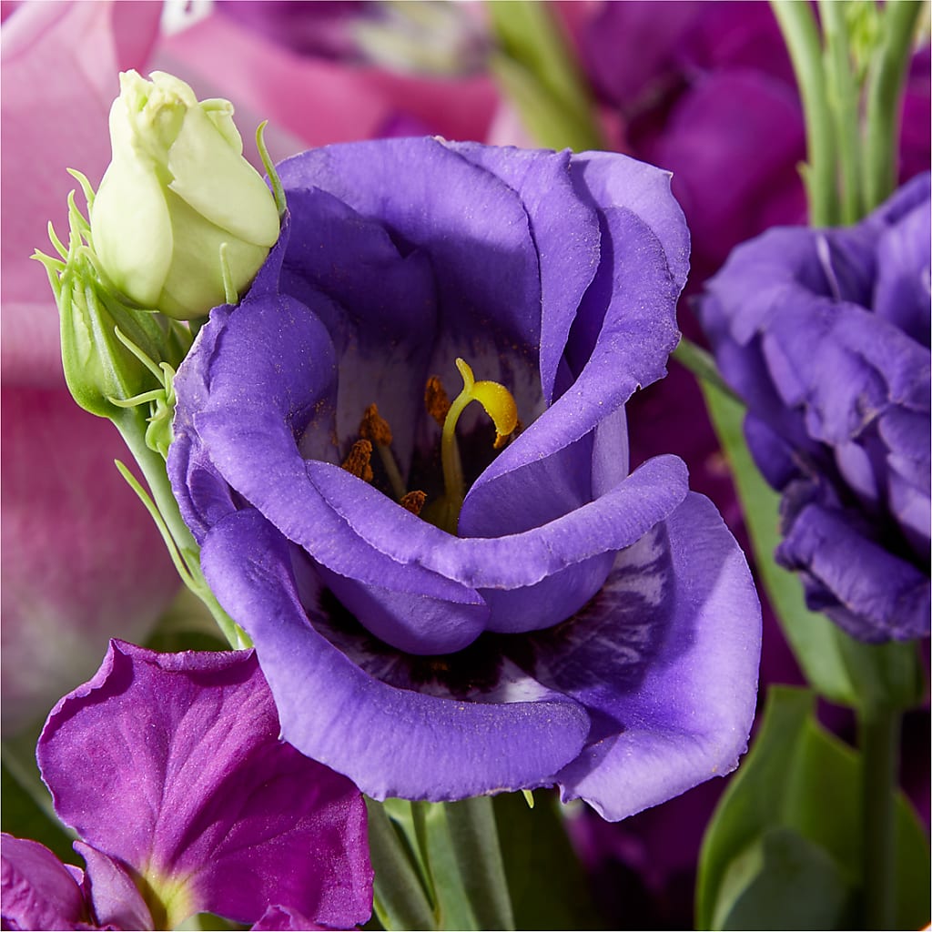 Twilight Glow Bouquet – ANDREW'S FLOWERS, Beaverton OR