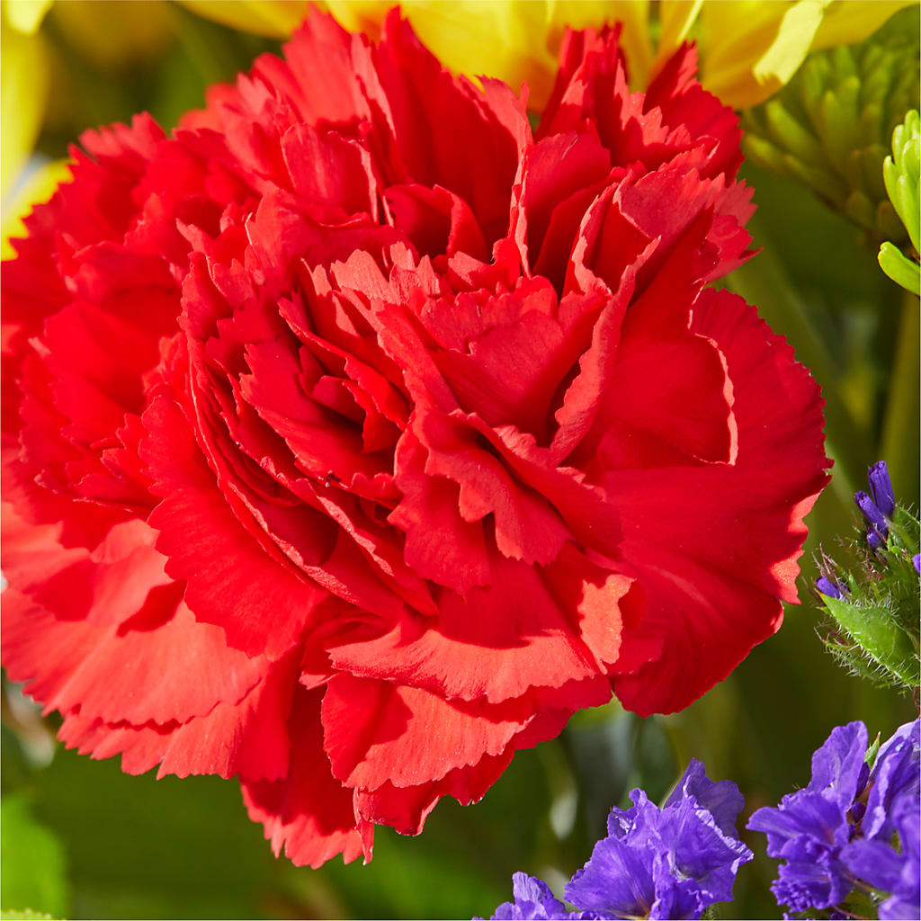 Brighter Days Bouquet – ANDREW'S FLOWERS, Beaverton OR
