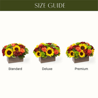 Happy Harvest Garden – ANDREW'S FLOWERS, Beaverton OR