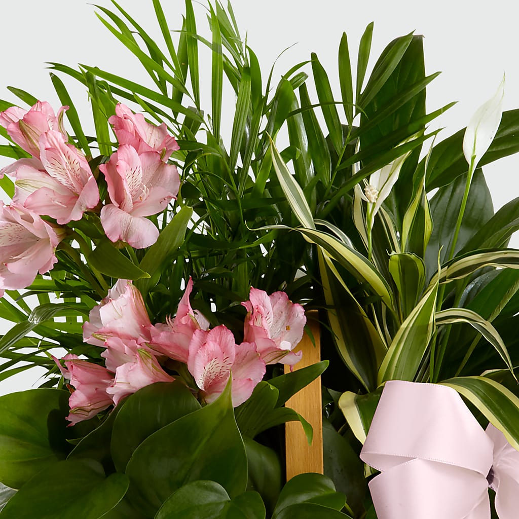 Living Spirit Dishgarden – ANDREW'S FLOWERS, Beaverton OR