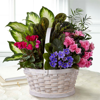 Peaceful Garden Planter – ANDREW'S FLOWERS, Beaverton OR