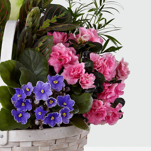 Peaceful Garden Planter – ANDREW'S FLOWERS, Beaverton OR