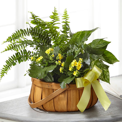 Always Dear Dishgarden – ANDREW'S FLOWERS, Beaverton OR