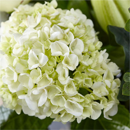 Classic Ivory – A Florist Original – ANDREW'S FLOWERS, Beaverton OR