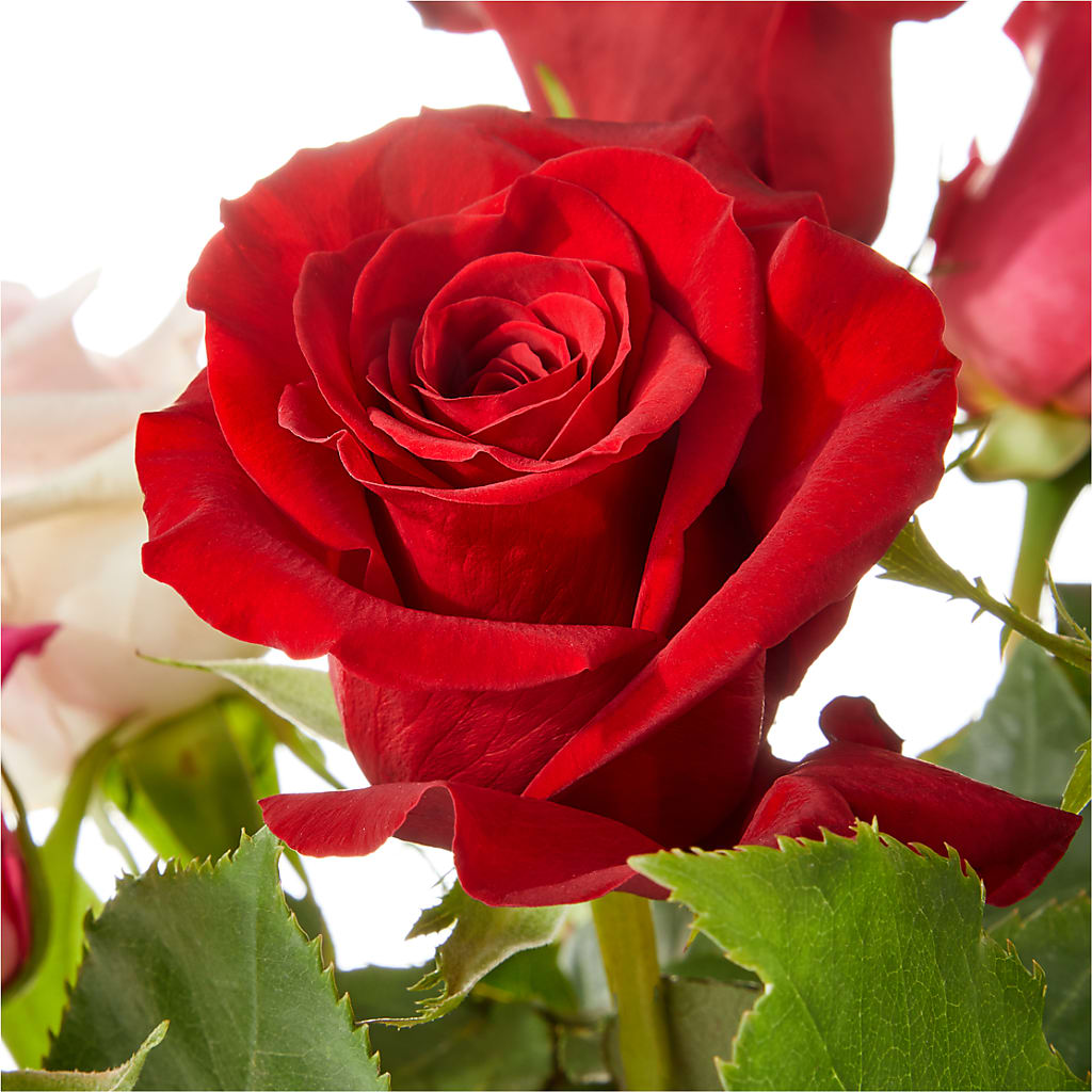Love Notes Rose Bouquet – ANDREW'S FLOWERS, Beaverton OR
