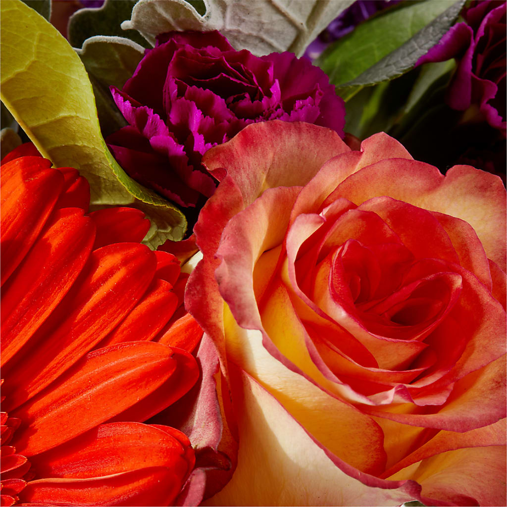 Sangria Bouquet – ANDREW'S FLOWERS, Beaverton OR