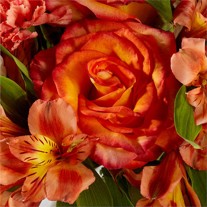 Apricot Glow Bouquet – ANDREW'S FLOWERS, Beaverton OR