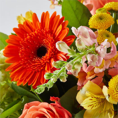 Autumn Sunshine Bouquet – ANDREW'S FLOWERS, Beaverton OR