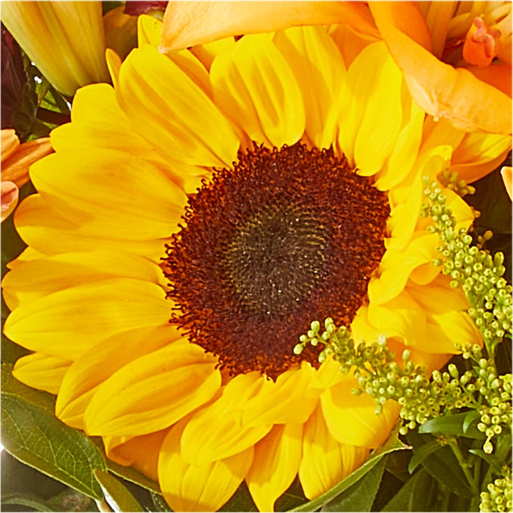 Seasons Change Bouquet – ANDREW'S FLOWERS, Beaverton OR