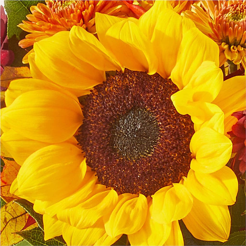 Sunny Side Bouquet – ANDREW'S FLOWERS, Beaverton OR