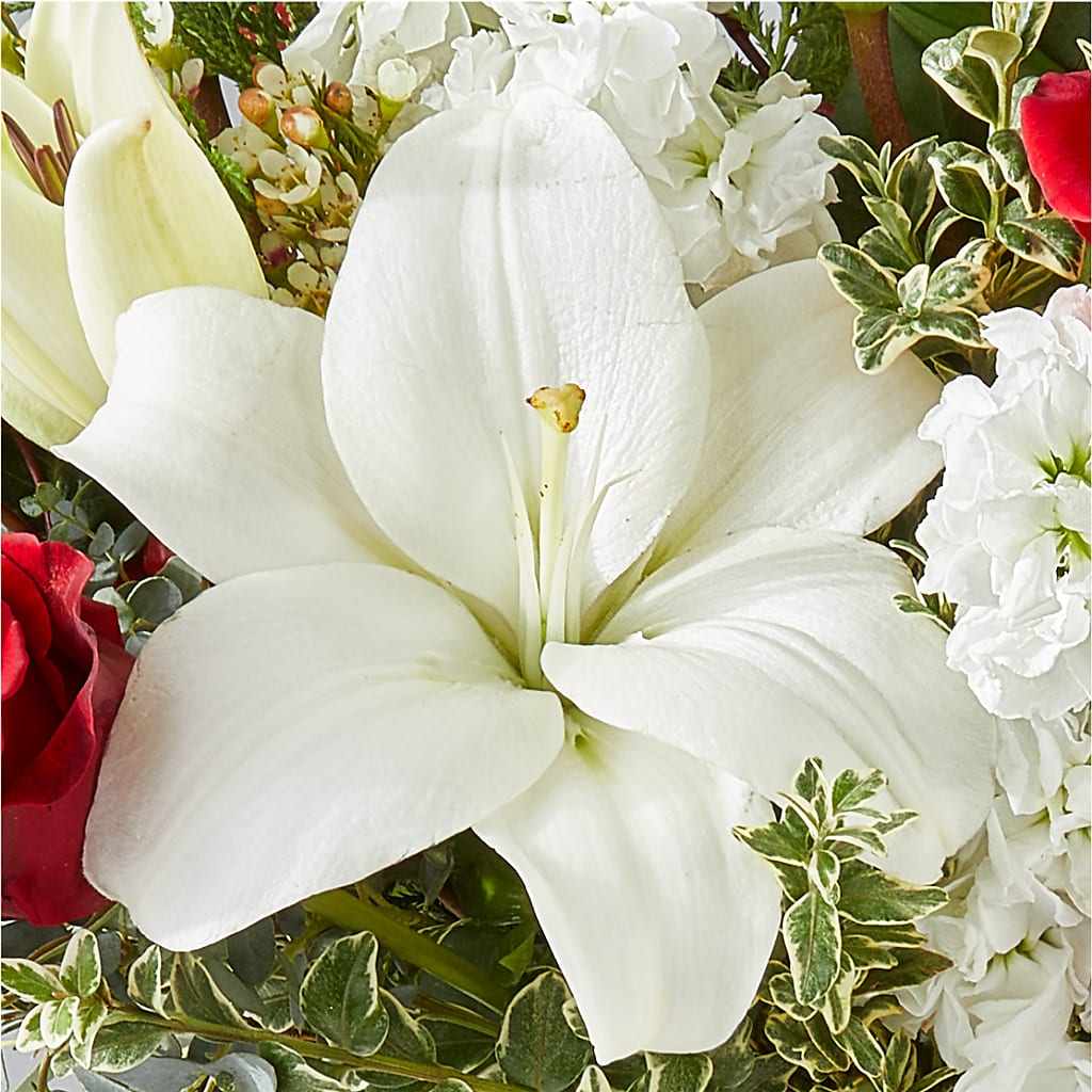 Twinkle Lights Bouquet – ANDREW'S FLOWERS, Beaverton OR