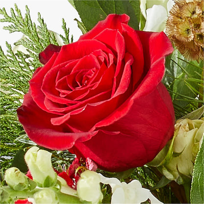 Deck the Halls Bouquet – ANDREW'S FLOWERS, Beaverton OR