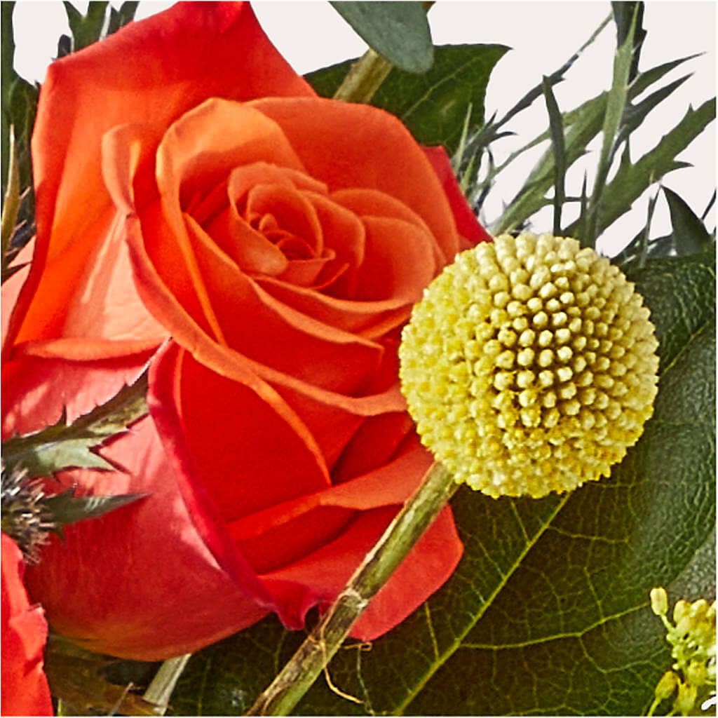 Disco Bouquet – ANDREW'S FLOWERS, Beaverton OR