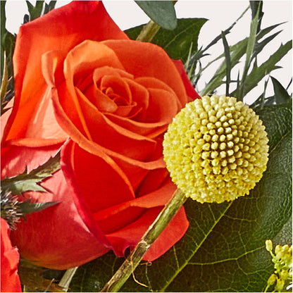 Disco Bouquet – ANDREW'S FLOWERS, Beaverton OR