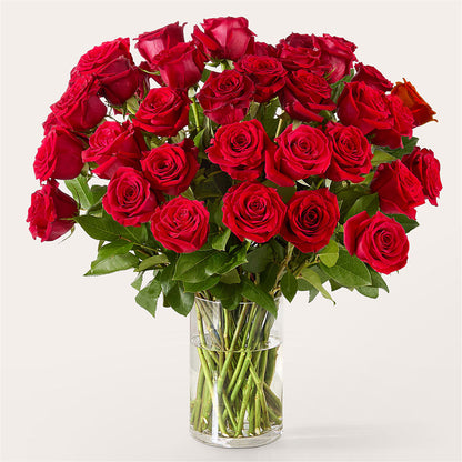 The One Red Rose Bouquet – ANDREW'S FLOWERS, Beaverton OR